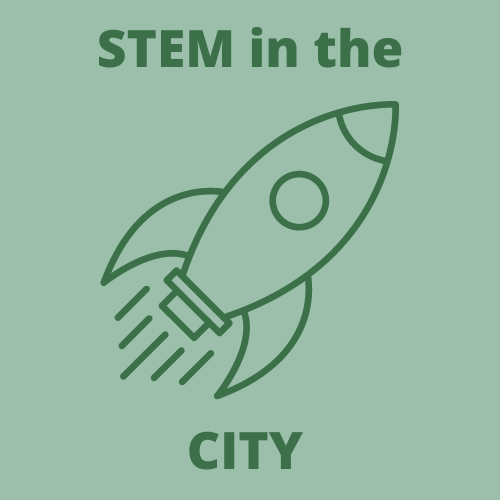 stemincitylogo